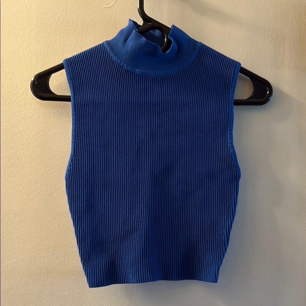 Aritzia Blue Ribbed Tank Top